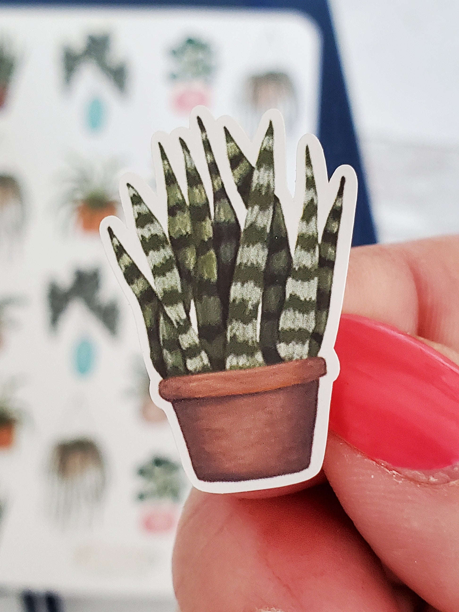 Close up of a sticker with a snake plant in a terra cotta pot.
