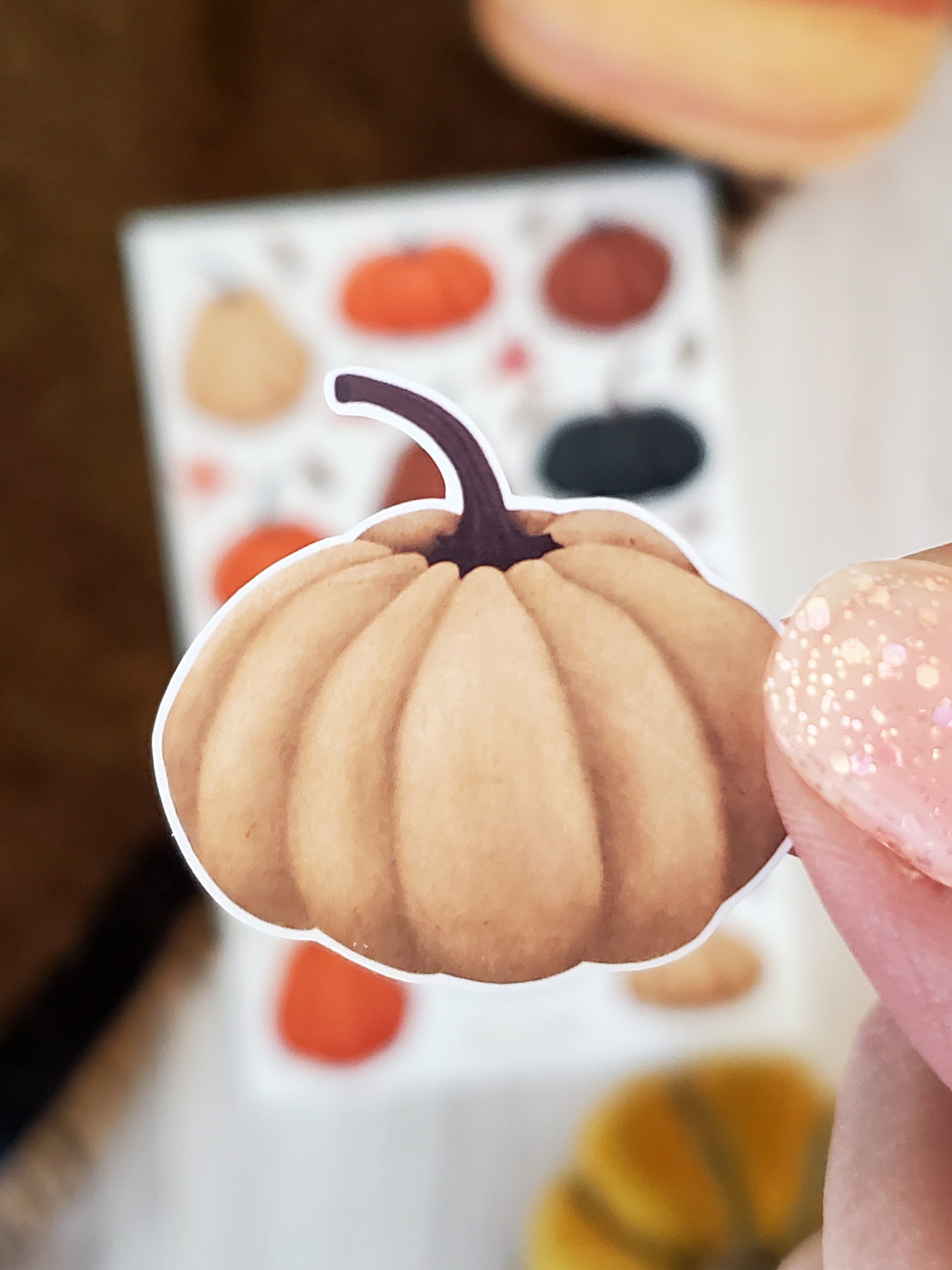 close up of illustrated cream squatty pumpkin sticker