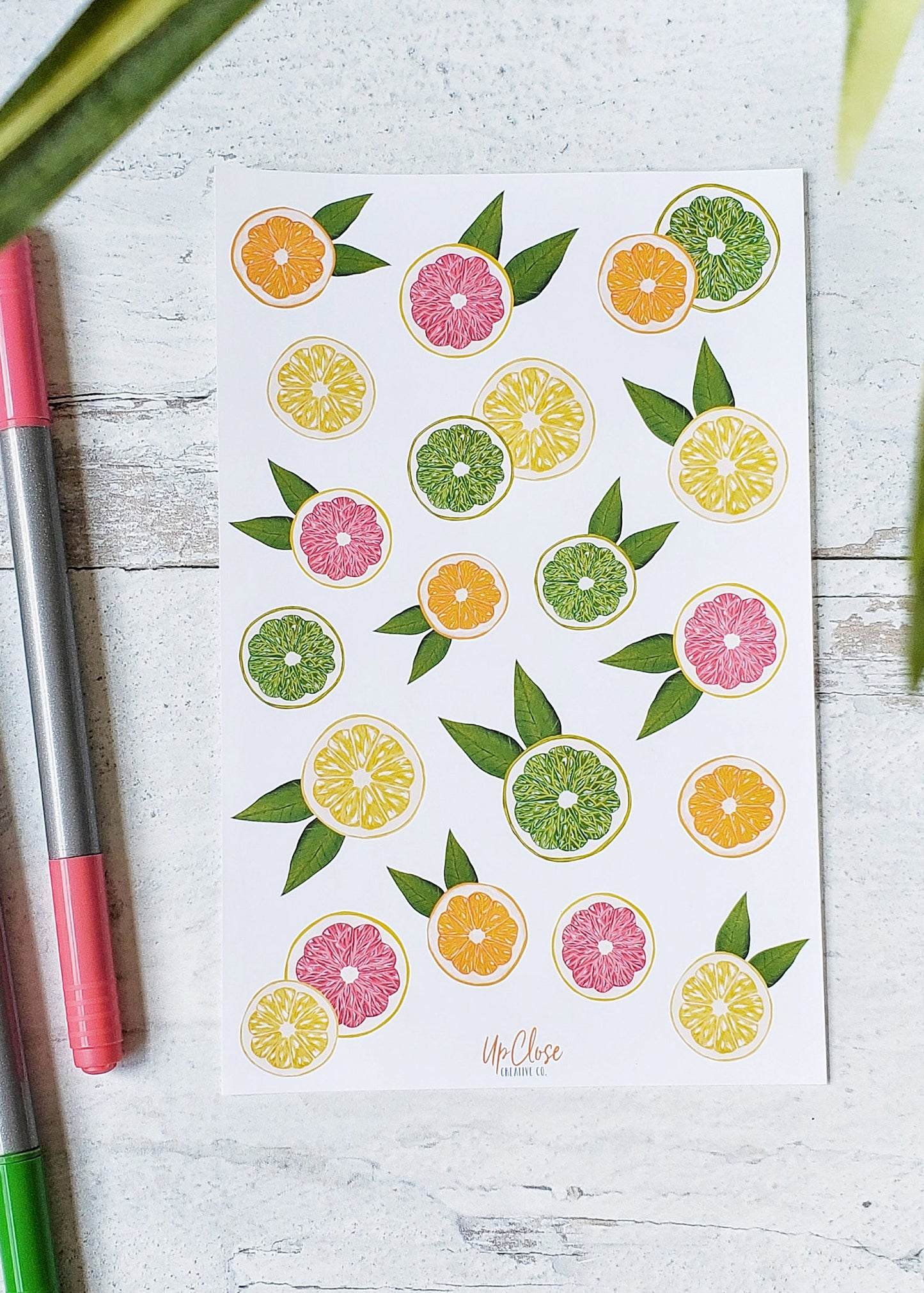 Sticker sheet with a variety of bright, colorful citrus fruits. Limes, lemons, oranges and pink grapefruits.