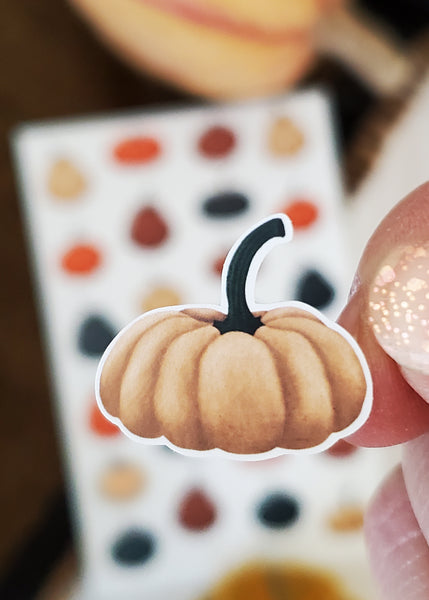close up of illustrated squatty cream pumpkin sticker