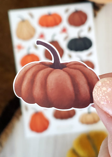 close up of mauve illustrated squatty pumpkin sticker