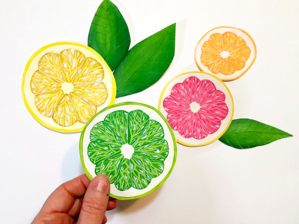 original hand painted citrus fruit illustrations