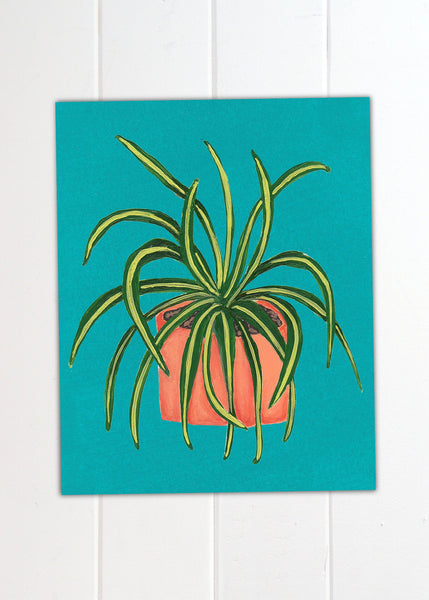 hand painted spider plant art print