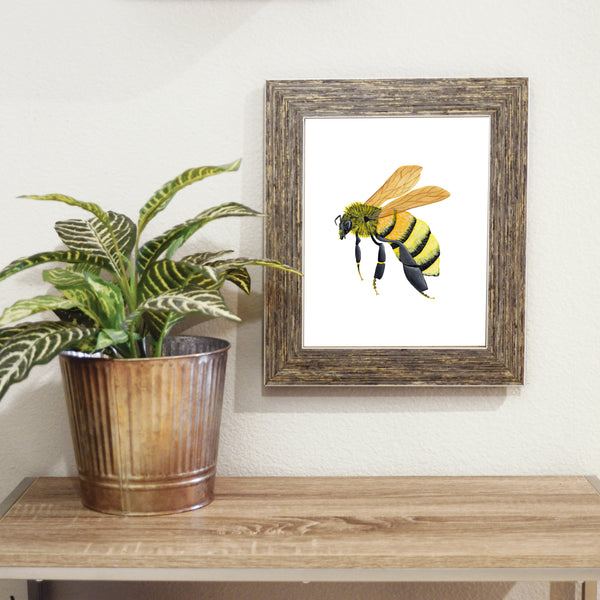 honey bee profile print in barnwood frame