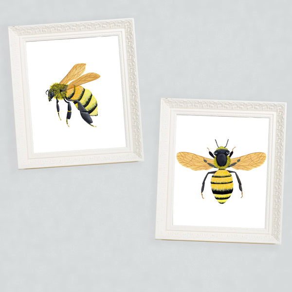honey bee print set in rustic white frames