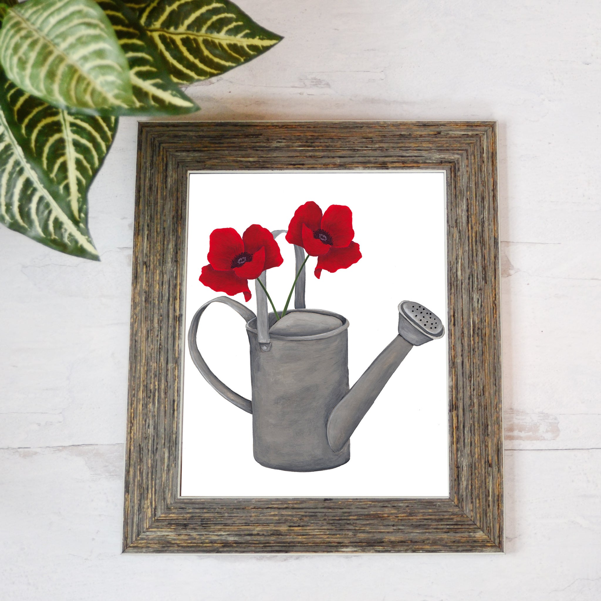 art print of hand painted red poppies in silver watering can
