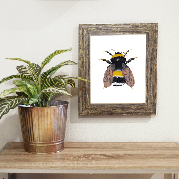 bumblebee art print framed on a wall next to a houseplant