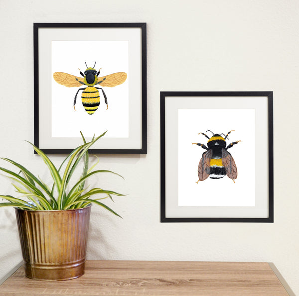 bumblebee art print with honeybee art print in black frames