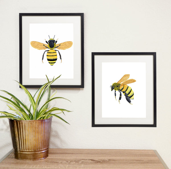 honey bee print set in black frames