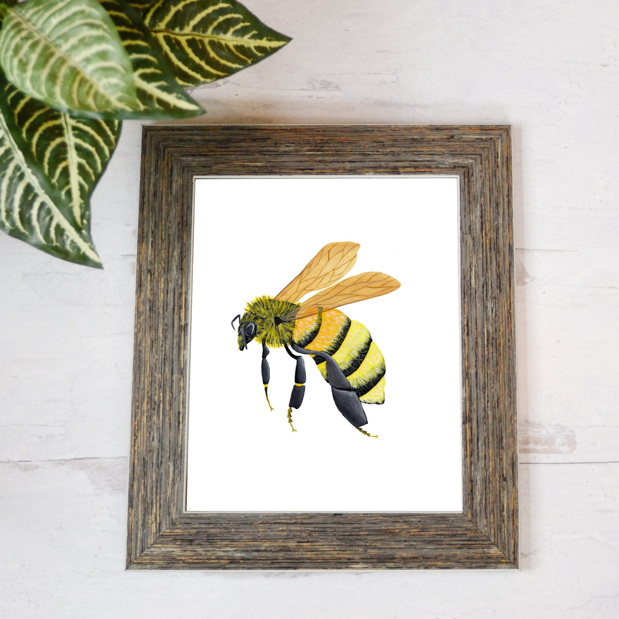 print reproduction of hand painted honey bee profile illustration