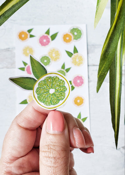 close up of lime sicker