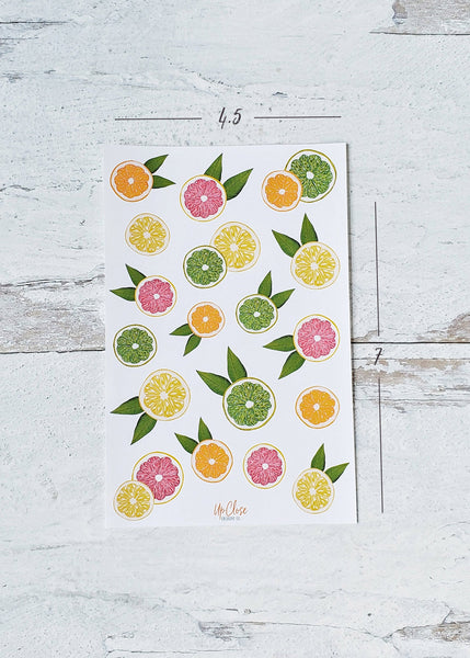 citrus fruit sticker sheet size 4.5 by 7 inches