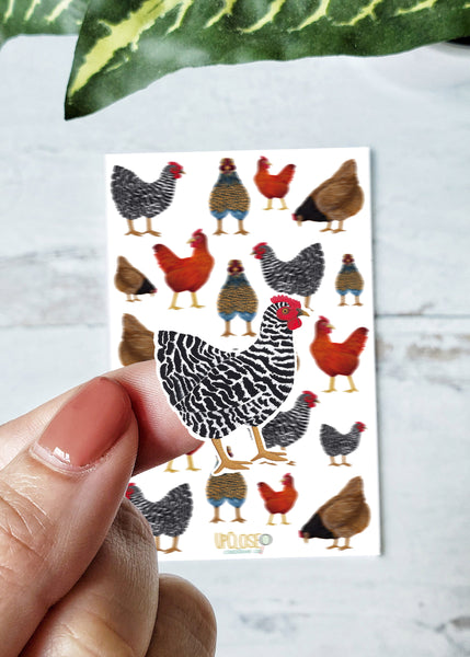 close up of black and white chicken sticker detail