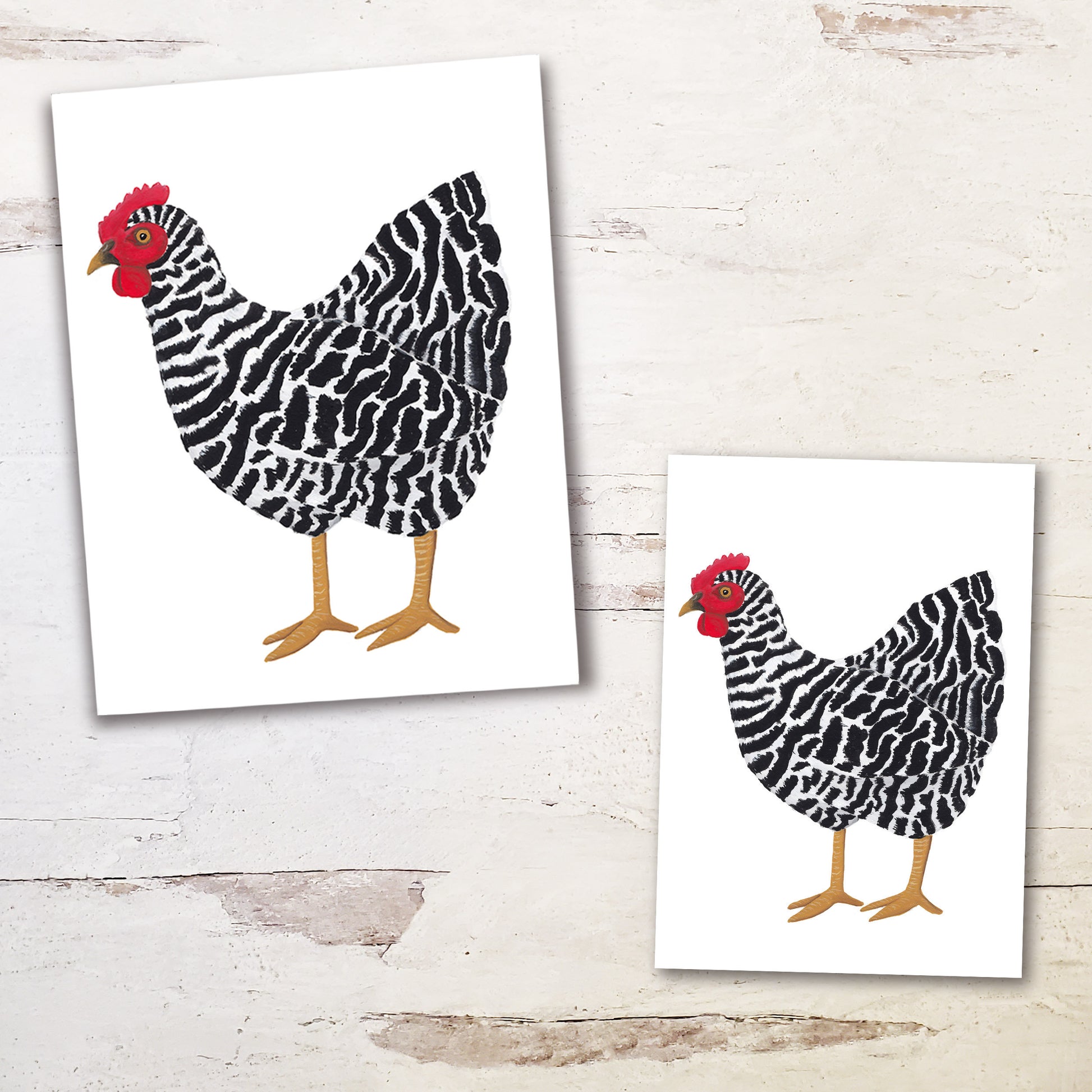black and white chicken art print comes in sizes 5 by 7 and 8 by 10