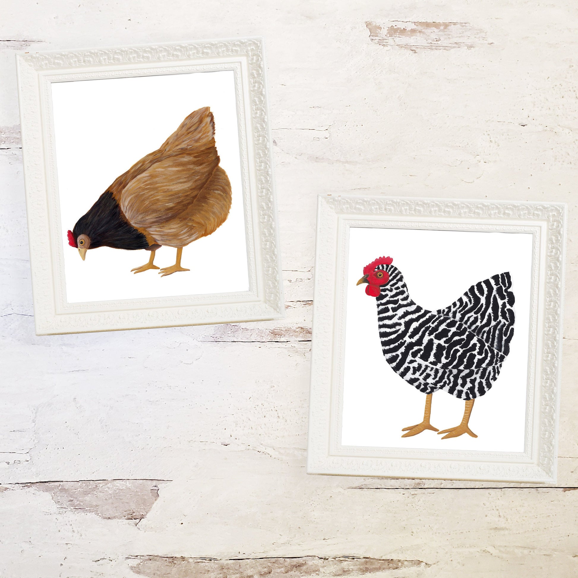 black and white chicken print with brown chicken print in rustic white frames