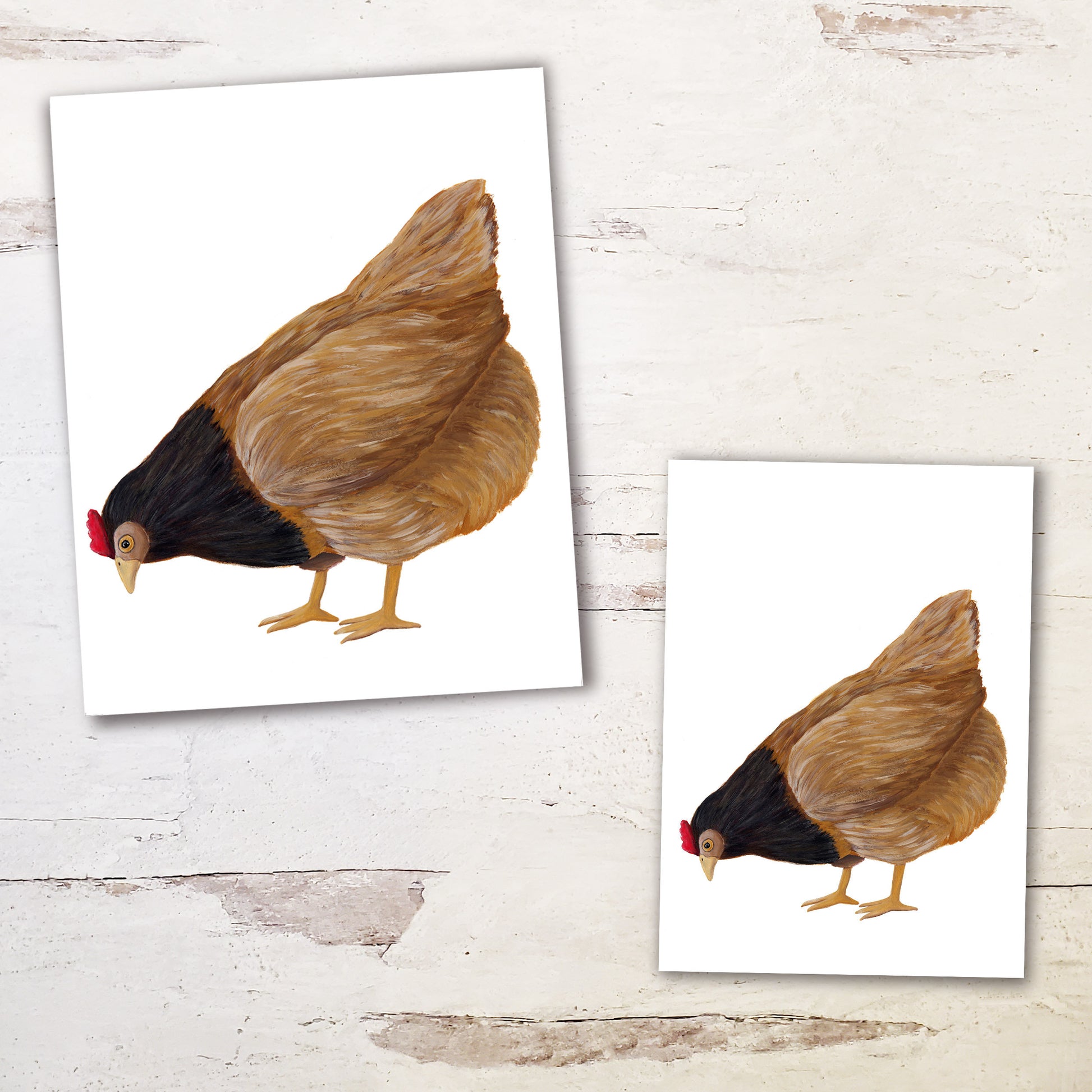 brown chicken print comes in sizes 5 by 7 and 8 by 10