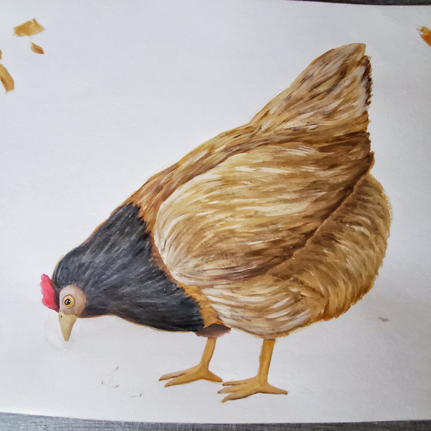 original hand painted brown chicken illustration artwork