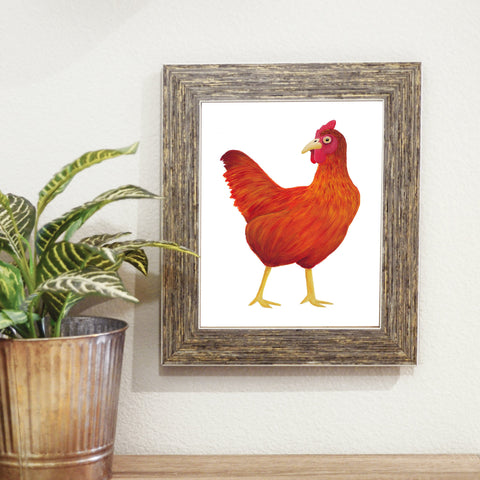 hand painted red chicken illustration art print