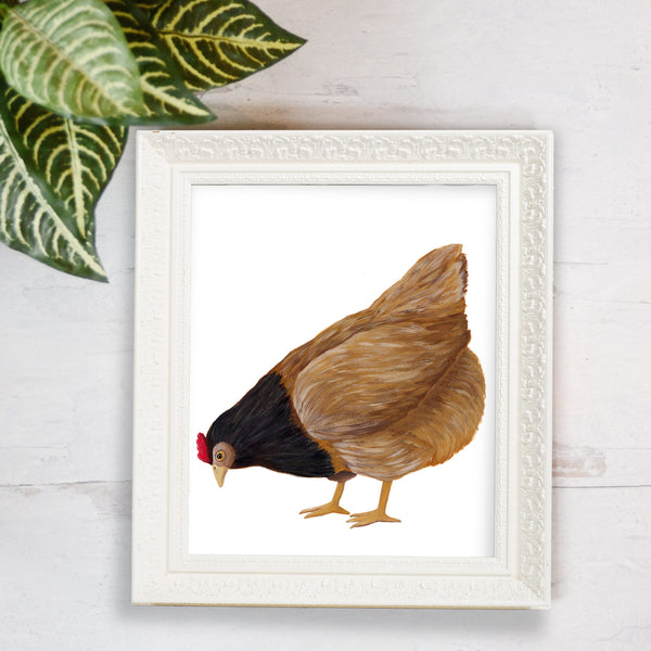 art print of hand painted brown chicken illustration 