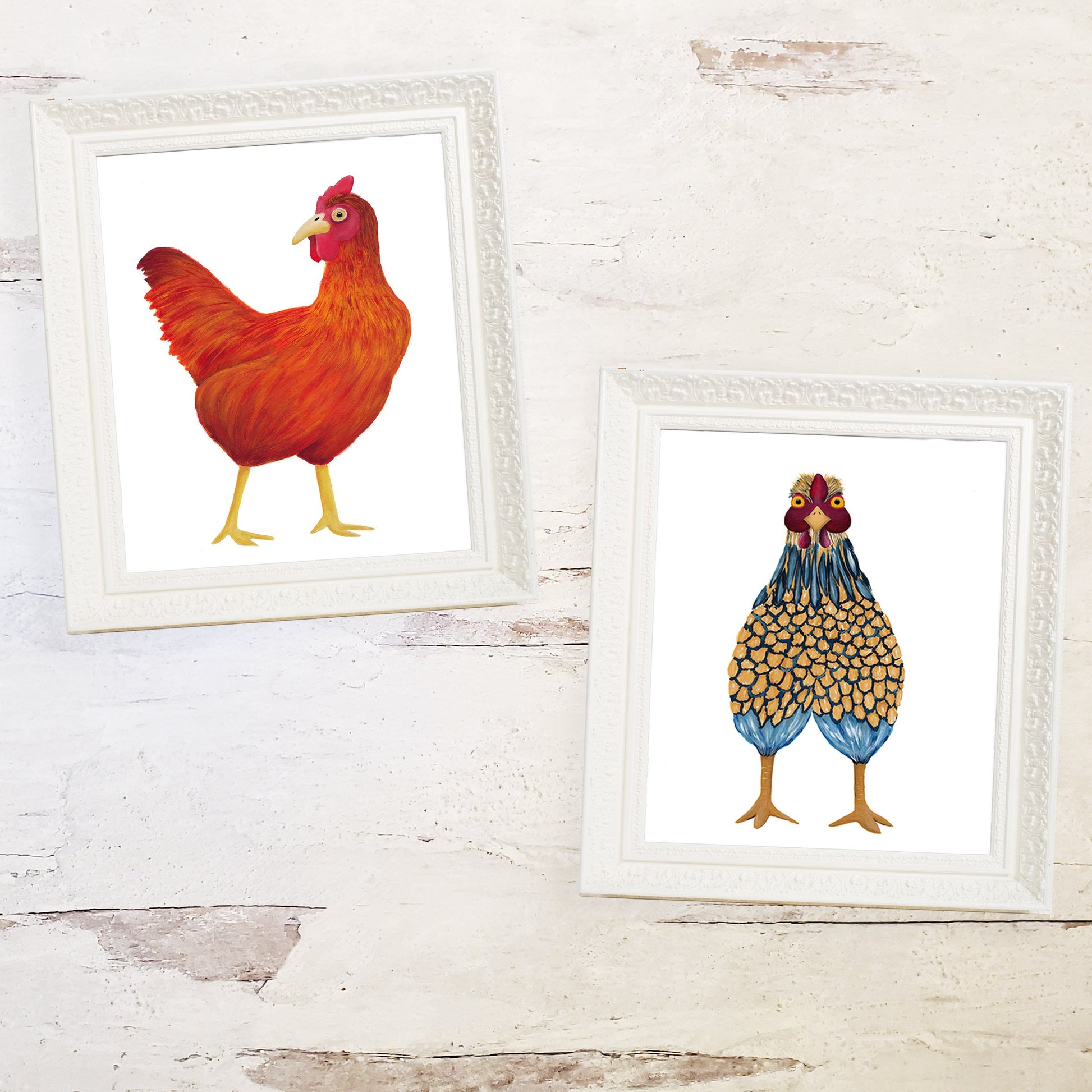 red chicken print whit blue lace chicken print in white frames