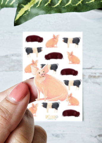 pig sticker sheet includes pink pig black and white pig and red pig in various poses