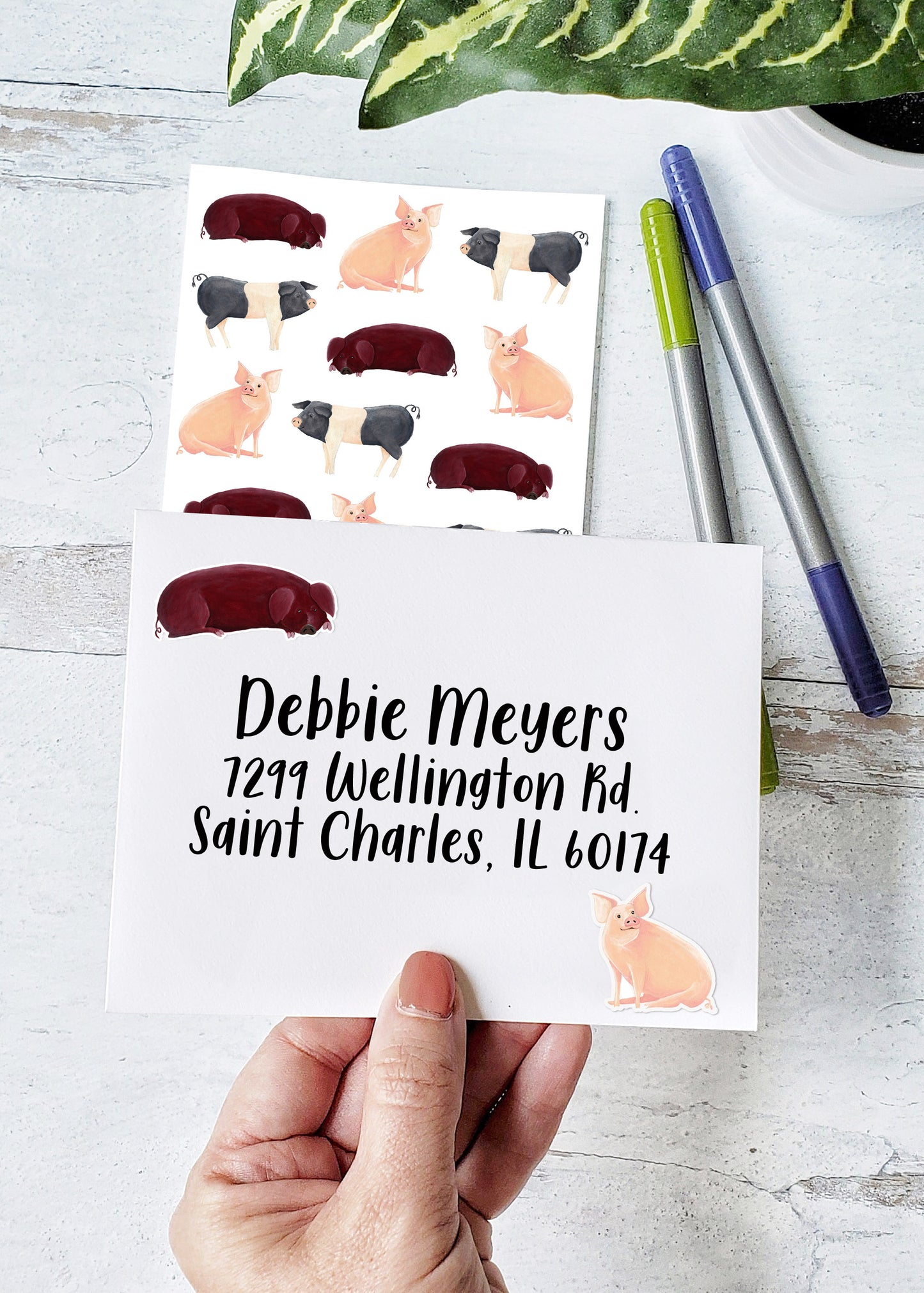 red laying down pig sticker and pink sitting pig sticker decorating an envelope